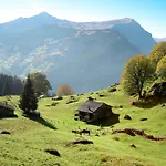 Colette - 1 By Interhome Lejlighed Grindelwald