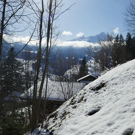 Apartament Colette - 1 By Interhome