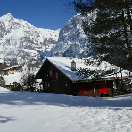 Appartamento Colette - 1 By Interhome Grindelwald