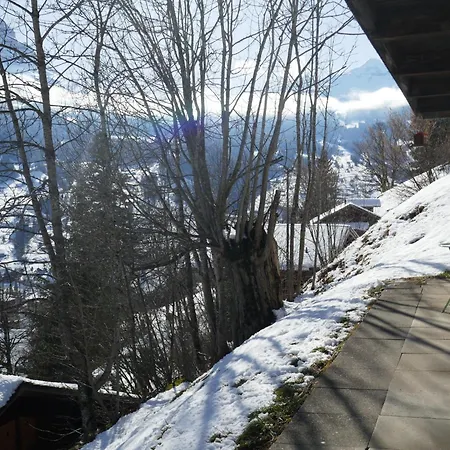 Colette - 1 By Interhome * Grindelwald