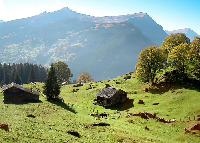 Colette - 1 By Interhome Appartamento Grindelwald