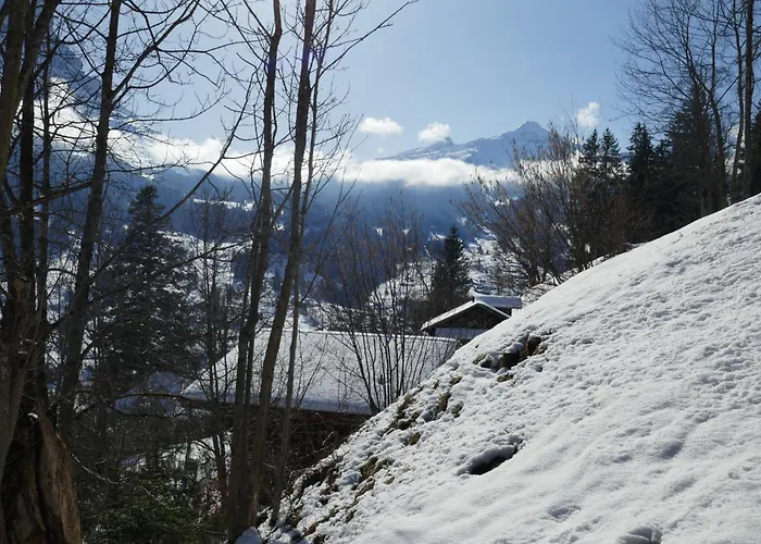 Lejlighed Colette - 1 By Interhome